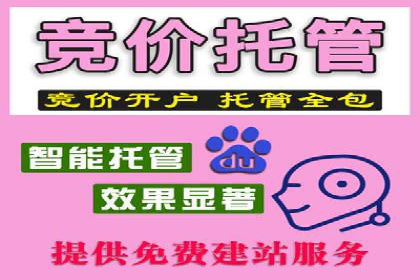 成功案例：SEM竞价托管的策略与效果