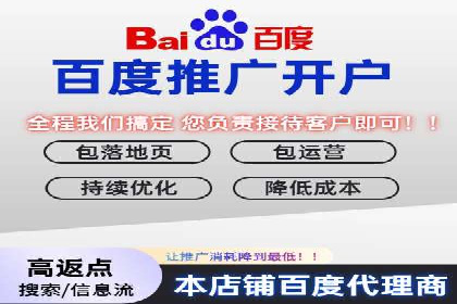 搜索引擎营销（SEM）在本地市场的应用案例